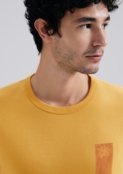 Camiseta Masculina Manga Curta Com Estampa - Marca Hering