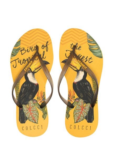 Chinelo Colcci Tropical Bird Amarelo - Marca Colcci