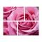 Conjunto de 4 Telas Wevans Decorativas em Canvas 83x103 Flor Rosa Multicolorido - Marca Wevans