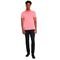 Camisa Polo Aramis Piquet Basic VE24 Rosa Masculino - Marca Aramis