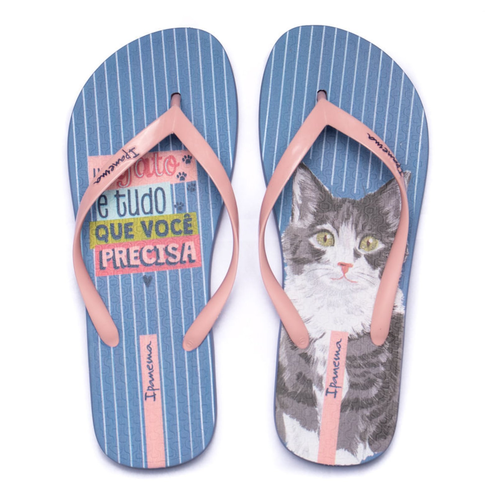 Chinelo Feminino Grendene Ipanema Love Pets Azul/Rosa - Marca Grendene