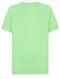 Camiseta Ellus Masculina Washed New Adventures Verde Claro - Marca Ellus