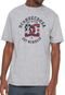 Camiseta DC Shoes One Nation Cinza - Marca DC Shoes
