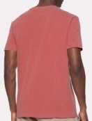 Camiseta Osklen Masculina Slim Stone Coroa Rough Vermelha Incolor - Marca Osklen