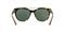 Óculos de Sol Giorgio Armani Quadrado AR8050 - Marca Giorgio Armani