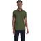 Camisa Polo Aramis Detalhe Interno IN23 Verde Masculino - Marca Aramis