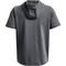 Moletom Under Armour Project Rock Terry Cinza Masculino - Marca Under Armour