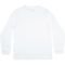 Camiseta Quiksilver Manga Longa Transfer Round WT23 Branco - Marca Quiksilver