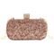 Bolsa Clutch Liage Festa Metal Glitter Brilho Strass Pedraria Pedra Dourada Rose Bronze - Marca Liage