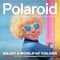 Óculos de Sol Polaroid Pld 8053/S 05B - 49 Amarelo - Marca Polaroid