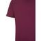 Camiseta John John Regular Clean In24 Vermelho Masculino - Marca John John