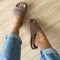 Flat Hellen Taupe Bege - Marca Damannu Shoes