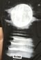 Camiseta Manga Curta Globe Básica Glow Moon Preta - Marca Globe