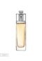 Perfume Addict Dior 100ml - Marca Dior