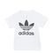 Adidas Camiseta Trefoil Infantil - Marca adidas