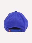 Boné Levis Curved Visor Embroidery Signature Azul Royal - Marca Levis