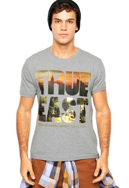 Camiseta Zoo York True East 1 Cinza - Marca Zoo York