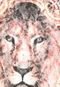 Regata Triton Lion Cinza - Marca Triton