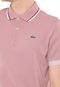 Camisa Polo Lacoste Reta Listras Rosa - Marca Lacoste