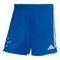 Adidas Shorts 2 Cruzeiro EC 24/25 - Marca adidas