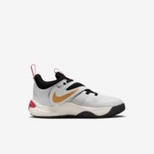 Tênis Nike Team Hustle D 11 Lil Infantil - Marca Nike