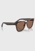 Óculos De Sol Ray-Ban 0Rb4437L Lente Marrom Degradê Marrom - Marca Ray-Ban