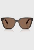 Óculos De Sol Ray-Ban 0Rb4437L Lente Marrom Degradê Marrom - Marca Ray-Ban