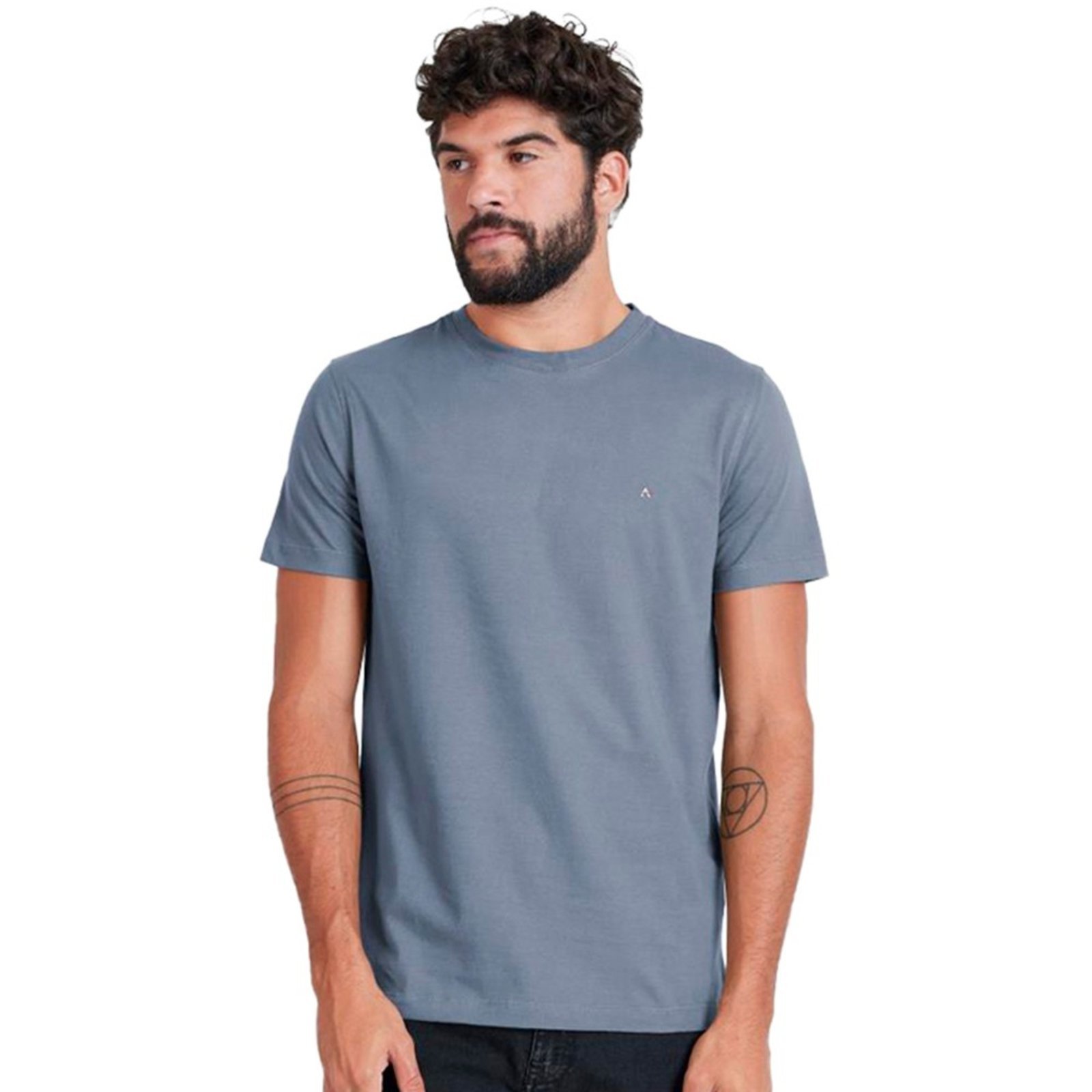 Camiseta Aramis Basic IN23 Azul Masculino - Marca Aramis