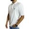 Lrg Camisa Polo 47 Branco - Branco - Marca LRG