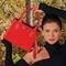 Bolsa Tote Estruturada Transversal Regulável Com alça de Mão Vermelho - Marca WILLIBAGS