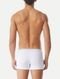 Pack Cueca Diesel Boxer Short 00ST3VOGDAC Branca 3UN - Marca Diesel