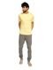 Camiseta Aleatory Masculina Grey Icon Amarela - Marca Aleatory