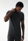 Camiseta Aramis Slim Mini Icon Grafite - Marca Aramis