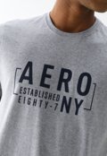 Camiseta Aeropostale Reta Estampada Cinza - Marca Aeropostale