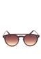 Óculos de Sol Polo London Club Ponte Marrom - Marca PLC