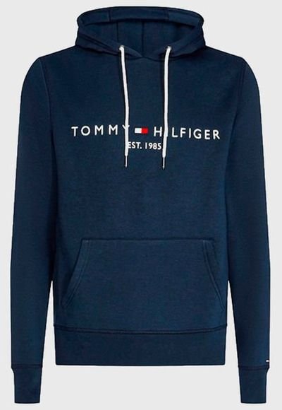 Core tommy logo hoody sale