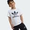 Adidas Conjunto Infantil Camiseta Shorts Adicolor - Marca adidas