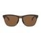 Óculos de Sol Oakley Frogskins Lite Matte Brown Tortoise W/ Prizm Tungstein - Marca Oakley