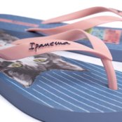 Chinelo Feminino Grendene Ipanema Love Pets Azul/Rosa - Marca Grendene