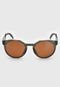 Óculos De Sol Oakley Caramelo - Marca Oakley
