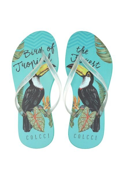 Chinelo Colcci Tropical Bird Azul - Marca Colcci