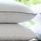 Travesseiro Antiestresse Antialérgico Camesa Suporte Firme 50x70cm - Marca Camesa
