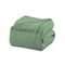 Cobertor Casal Manta Microfibra Antialérgico 1,8x2,2m Verde - Camesa - Marca Camesa