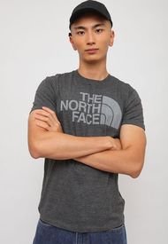 Polera The North Face Gris - Calce Slim Fit