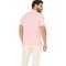 Camisa Polo Colcci Casual IN23 Rosa Masculino - Marca Colcci