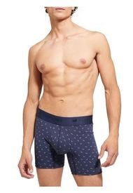 Ropa Interior Femenina Dafiti Colombia