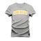 Camiseta Plus Size Shirt Premium 30.1 Algodão Estampada SanDiego  - Cinza - Marca Nexstar
