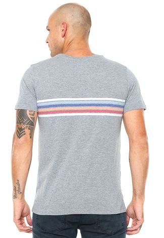 Camiseta RVCA Islands Cinza