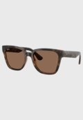 Óculos De Sol Ray-Ban 0Rb4437L Lente Marrom Degradê Marrom - Marca Ray-Ban