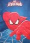 Kit 2pçs Colcha Quilt Solteiro Lepper Spider-Man Ultimate Vermelho - Marca Lepper